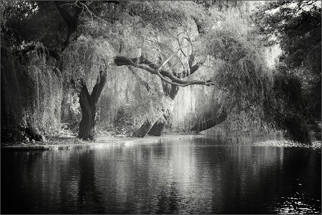 , Сергей Фудиненко