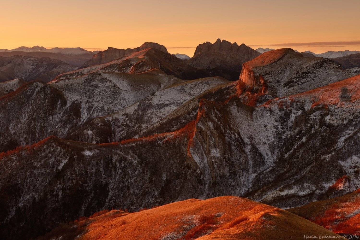 , Максим Евдокимов