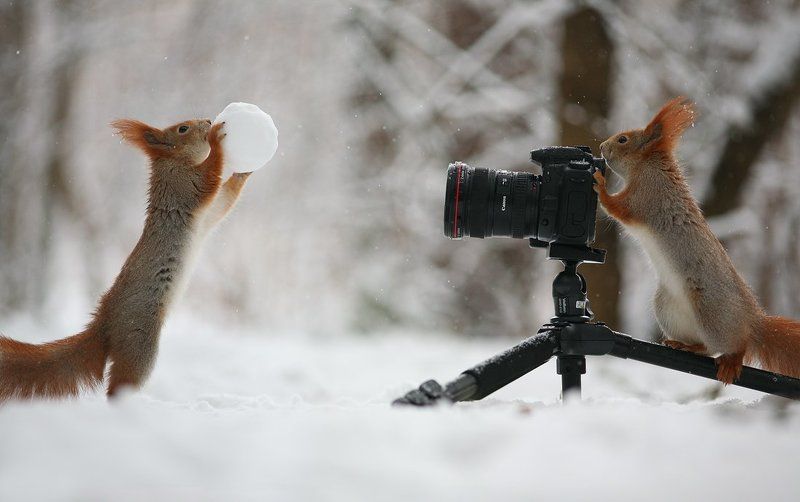 Снежная фотосессия