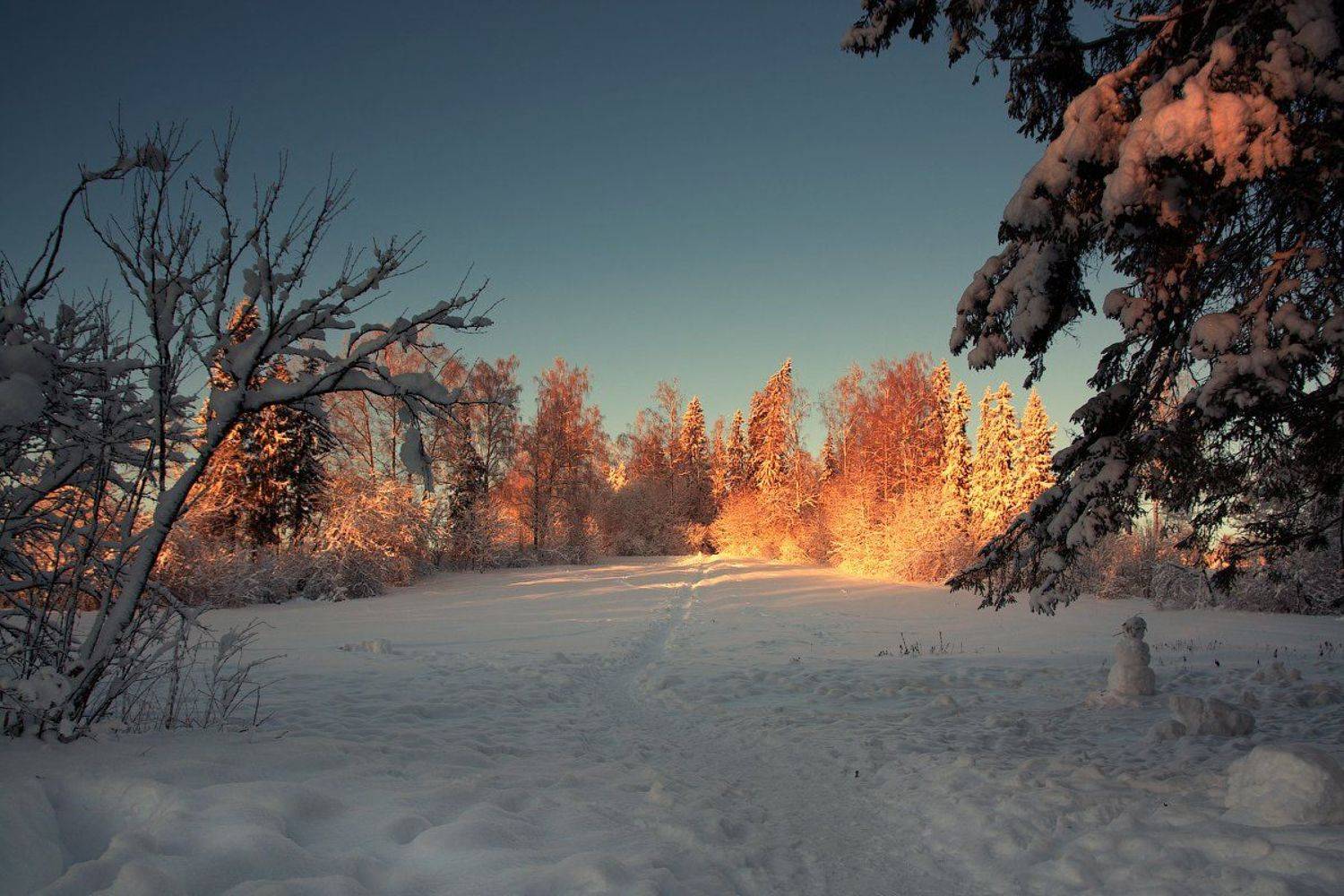 , Марина Никифорова