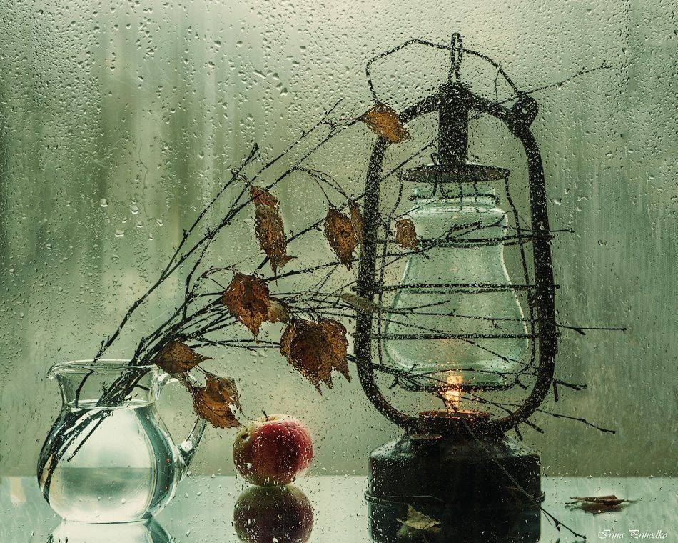 фото натюрморт, ветки березы. яблоко, фонарь, Ирина Приходько