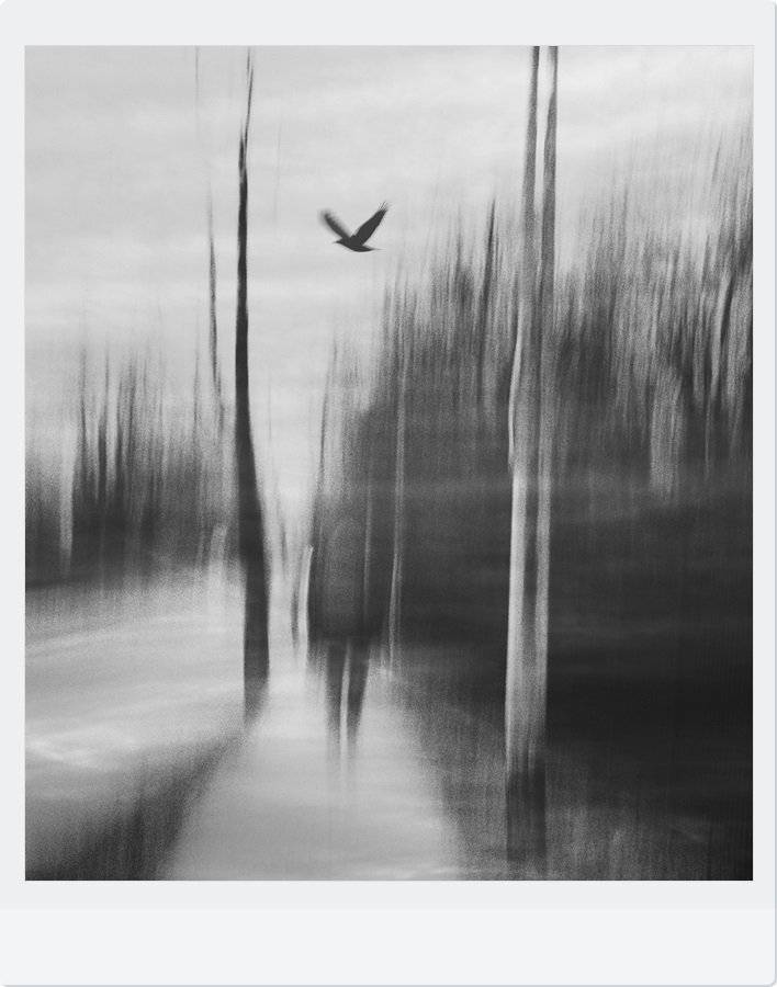 , Krzysztof Trojanowski