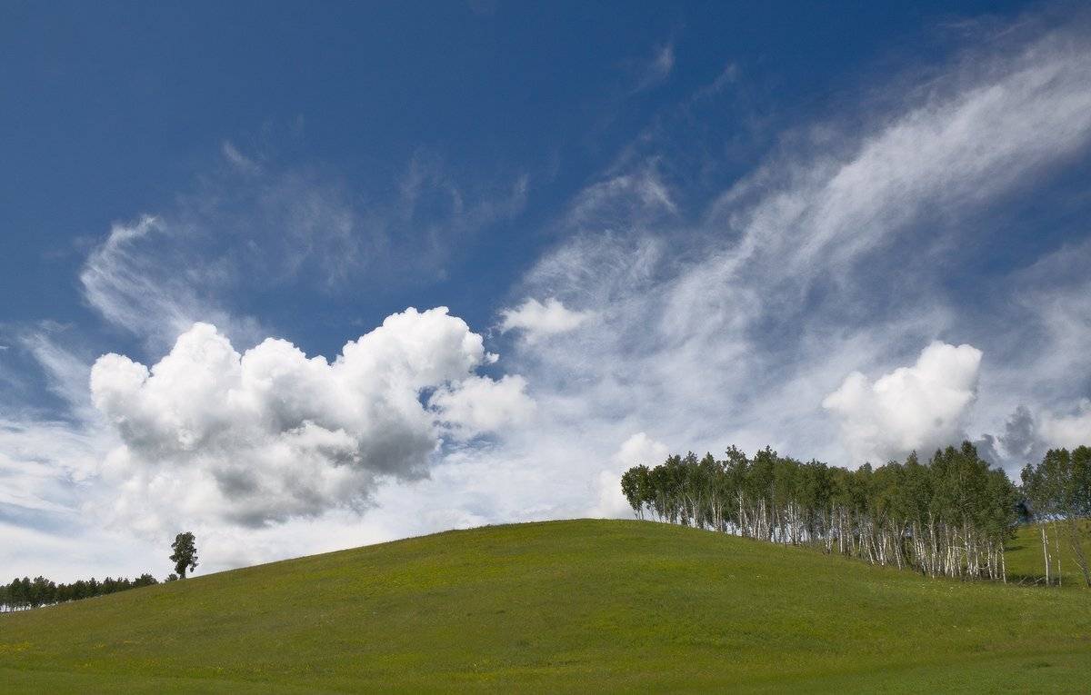 , Николай Морский