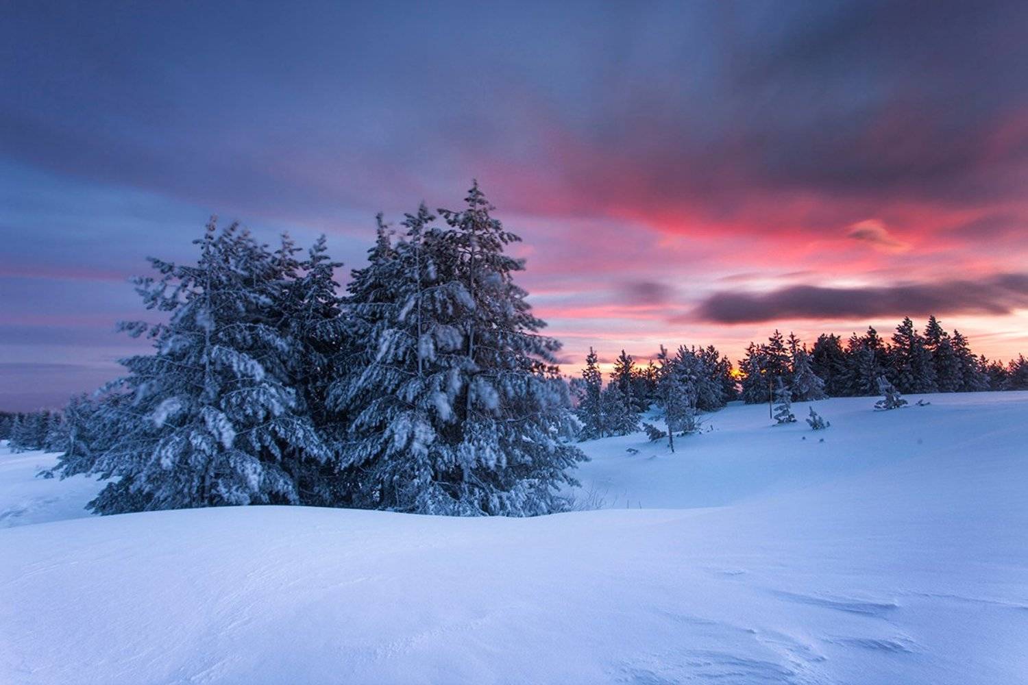 , Павел Пронин