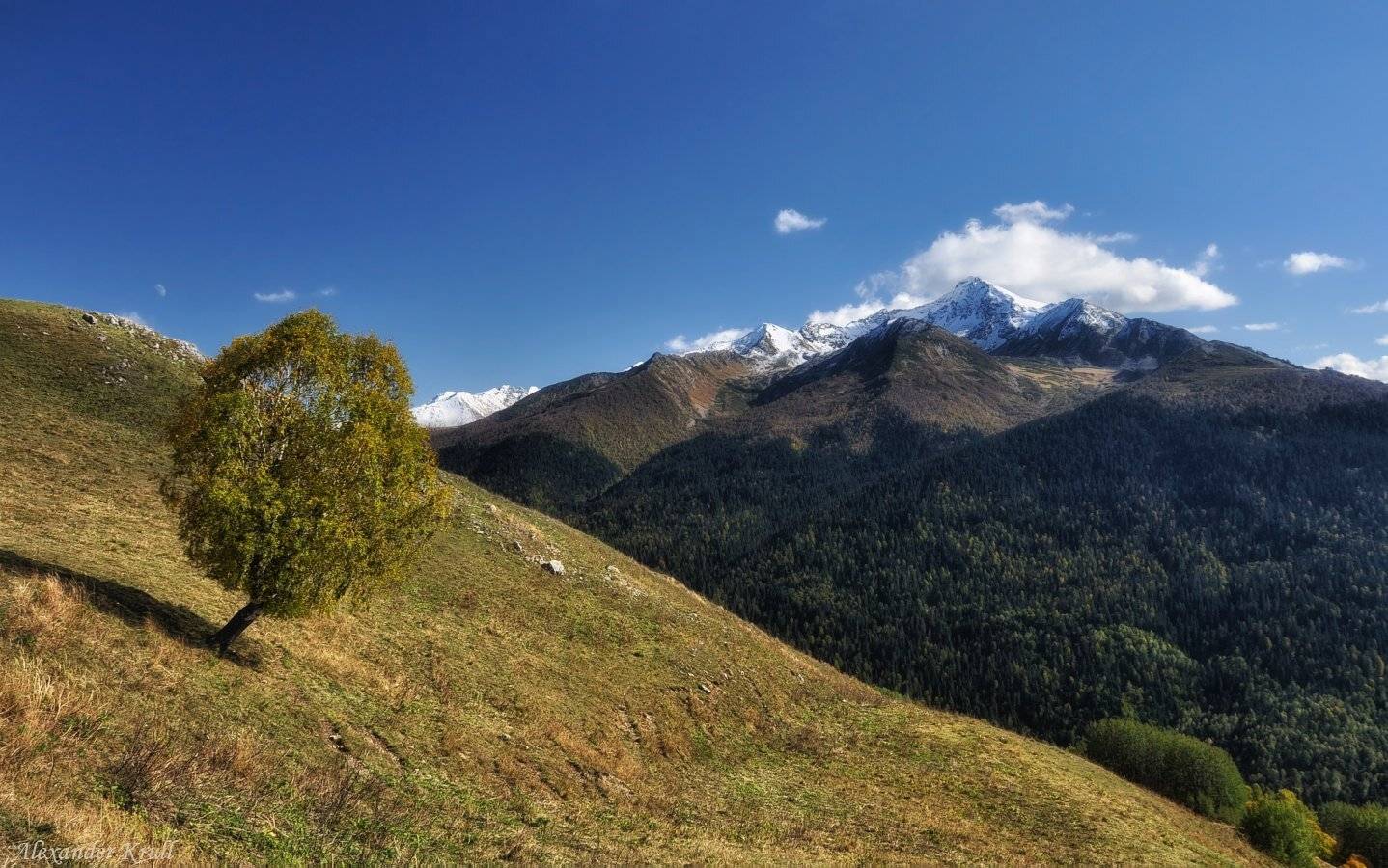 Кавказ, Кчр, Александр Круль
