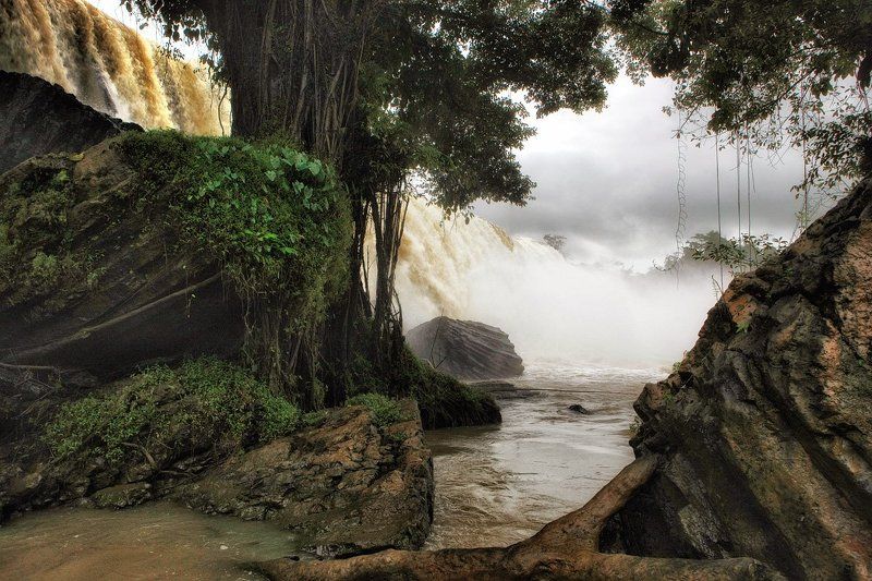 Где-то в джунглях фото превью