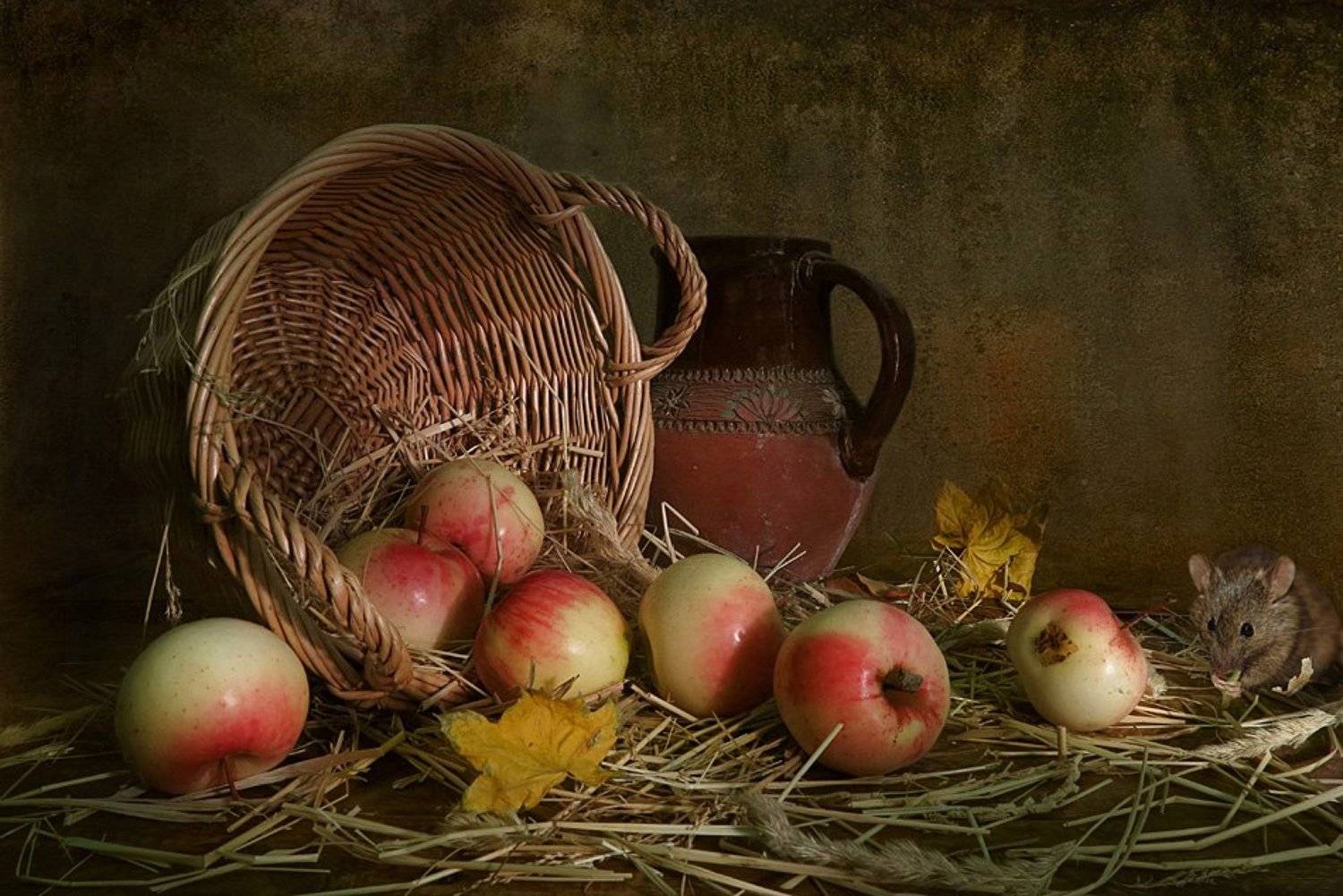 , Алла Шевченко