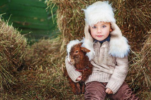 два товарища :)