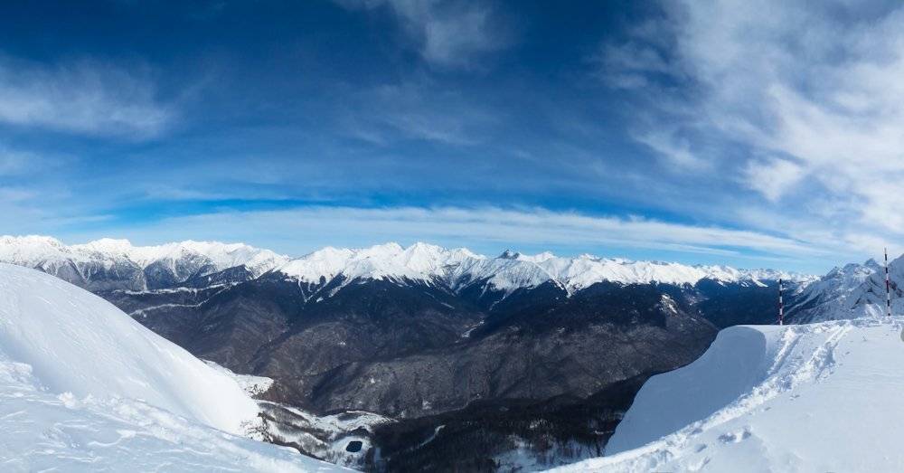 , Николай Шелепов