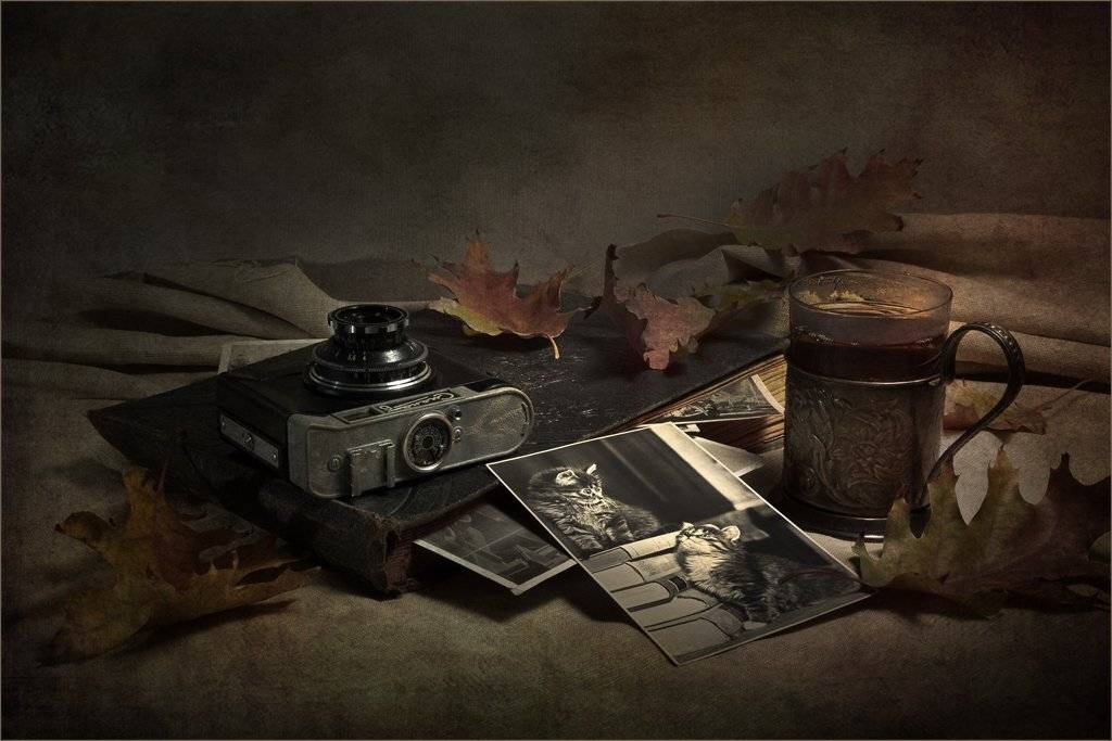 , Лев Сердюков