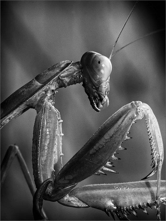 , Сергей Фудиненко