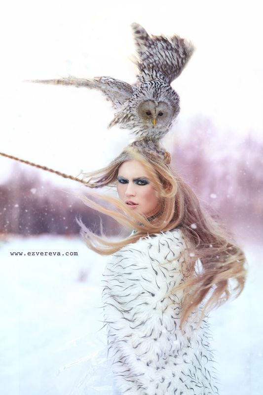 Дух, Зима, Снег, Сова Зима фото превью