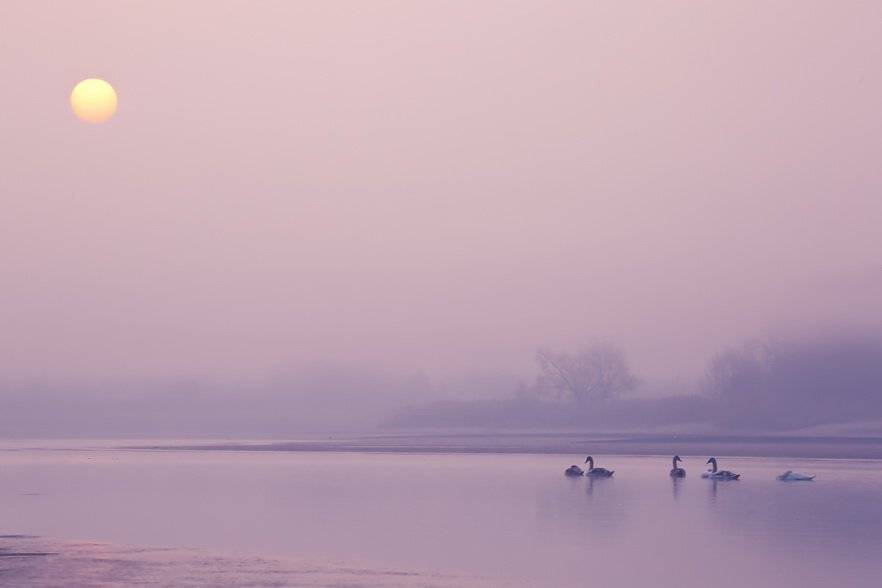 , Вячеслав Мищенко