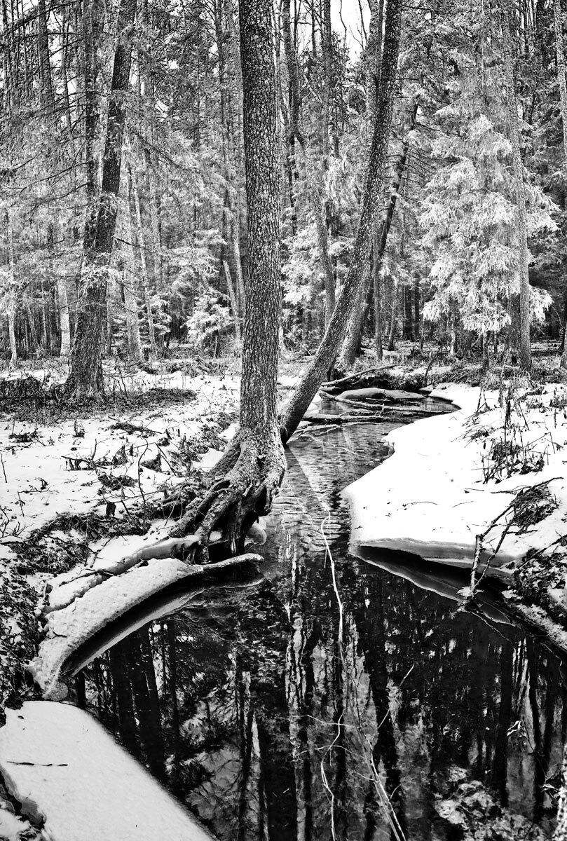 , Валерий Кондратов