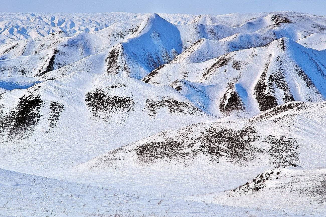 , Качурин Алексей