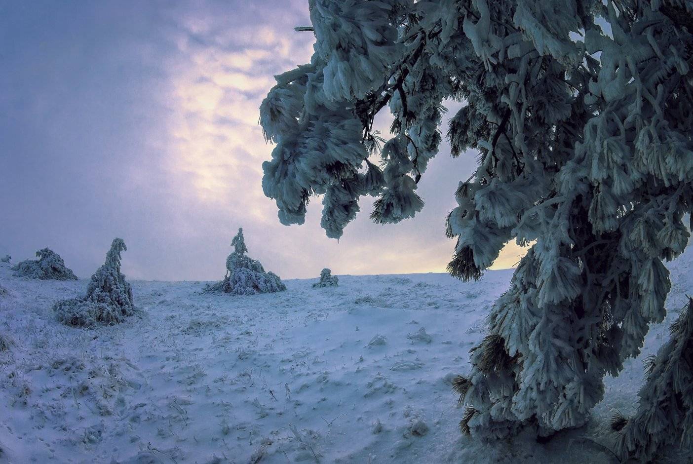 , Игорь Мелекесцев