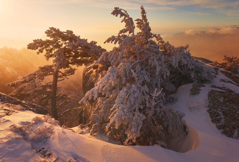 Демерджи, Зима, Крым, Солнце * * * фото превью