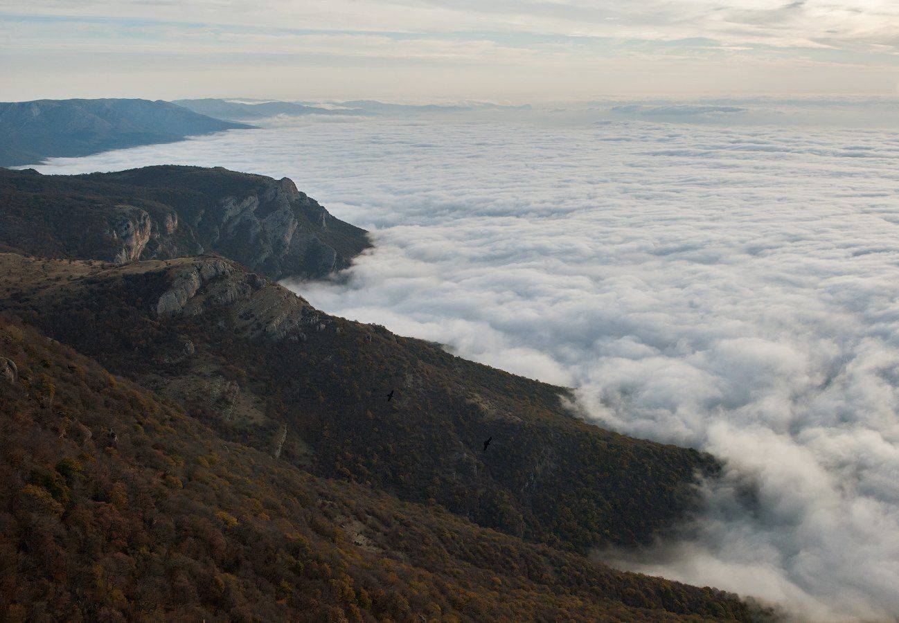 , Олег Логунов