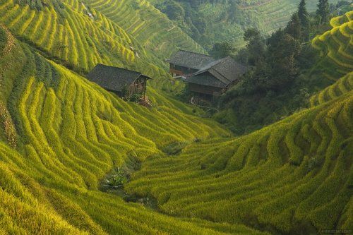 Жизнь в плюшевой долине.