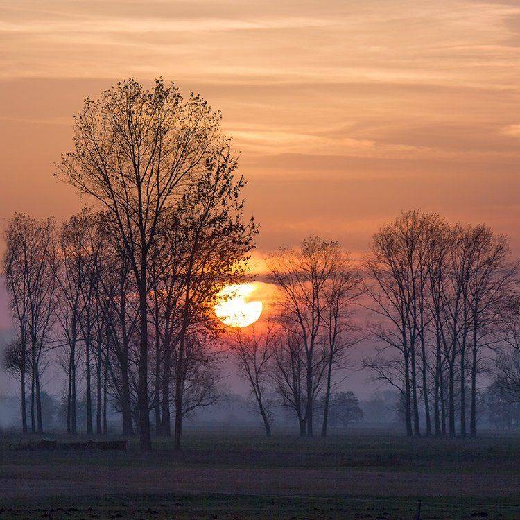 , Pawel Plucinski