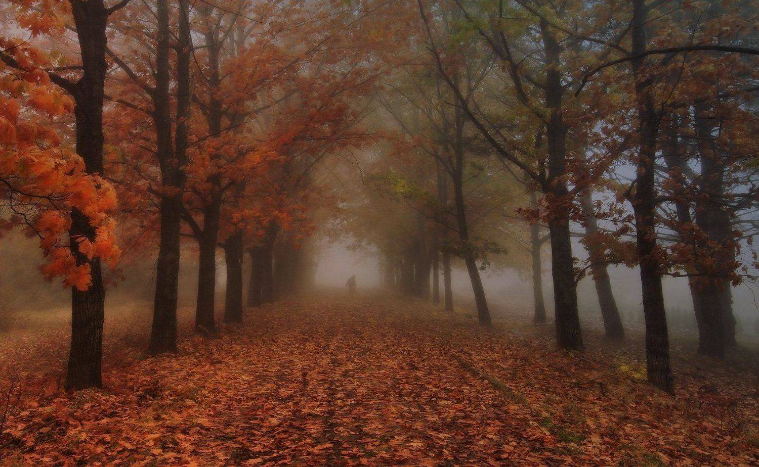 , Михаил  Пилипенко