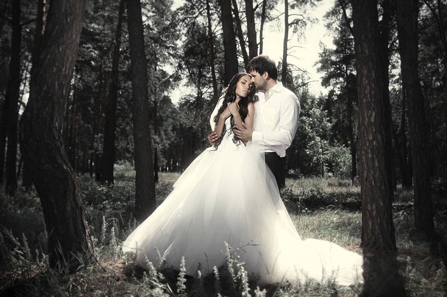 Лес, Лес свадьба, Dмитрий Попов