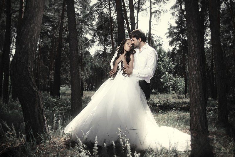 Лес, Лес свадьба Лес_01 фото превью