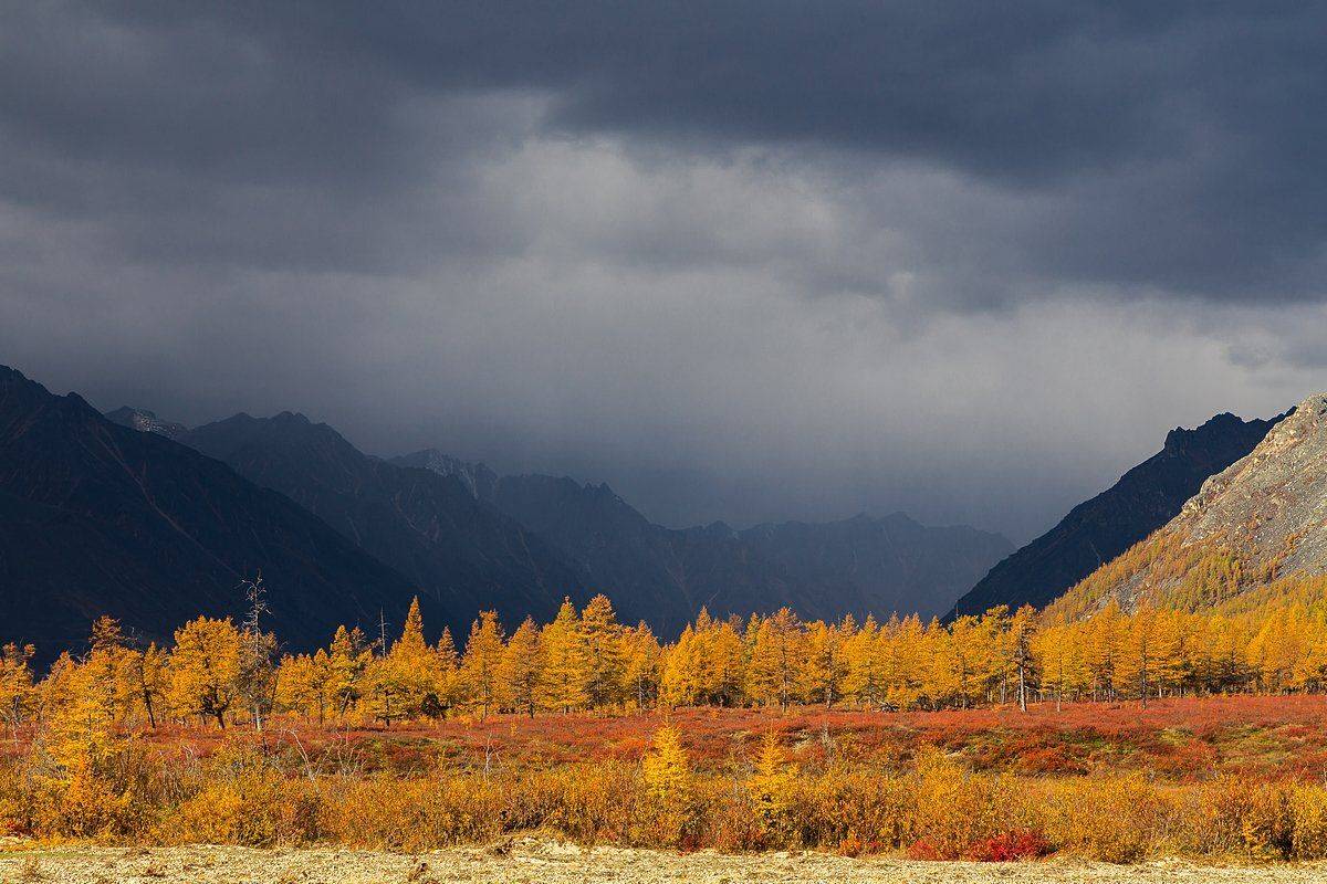 якутия, кенилибит, хребет черского, чибагалахский хребет, момский улус,, Кирилл Уютнов