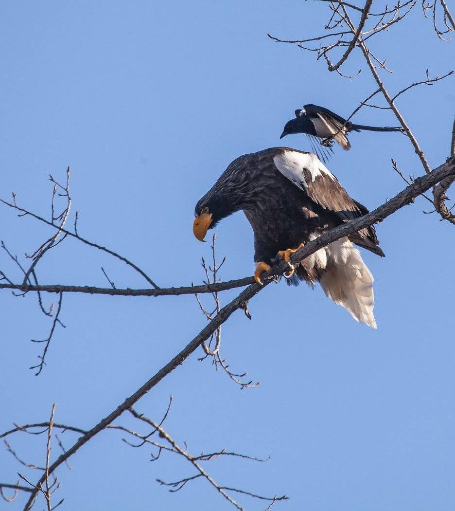 , Евгений Слободской