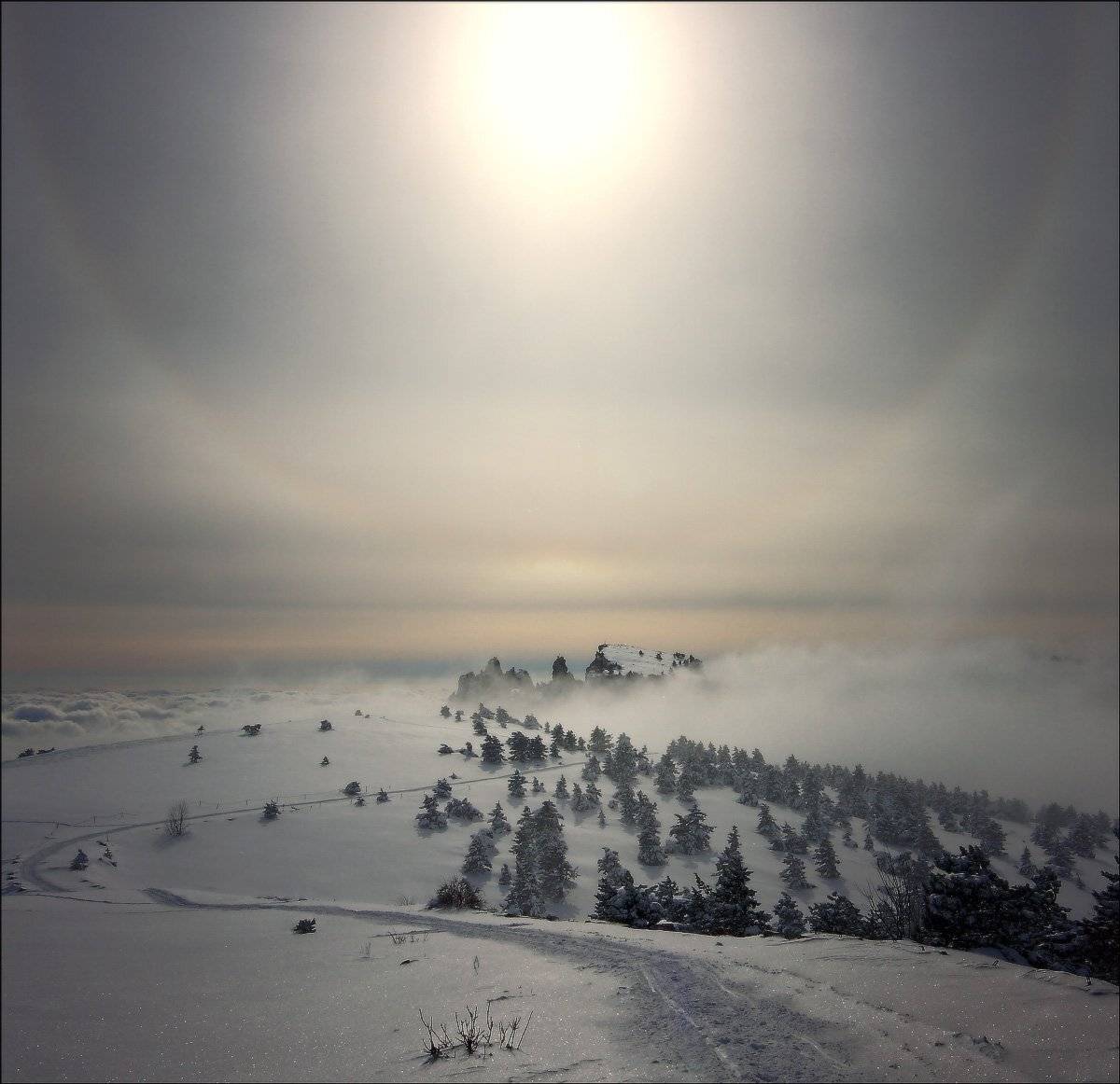, Петриченко Валерий