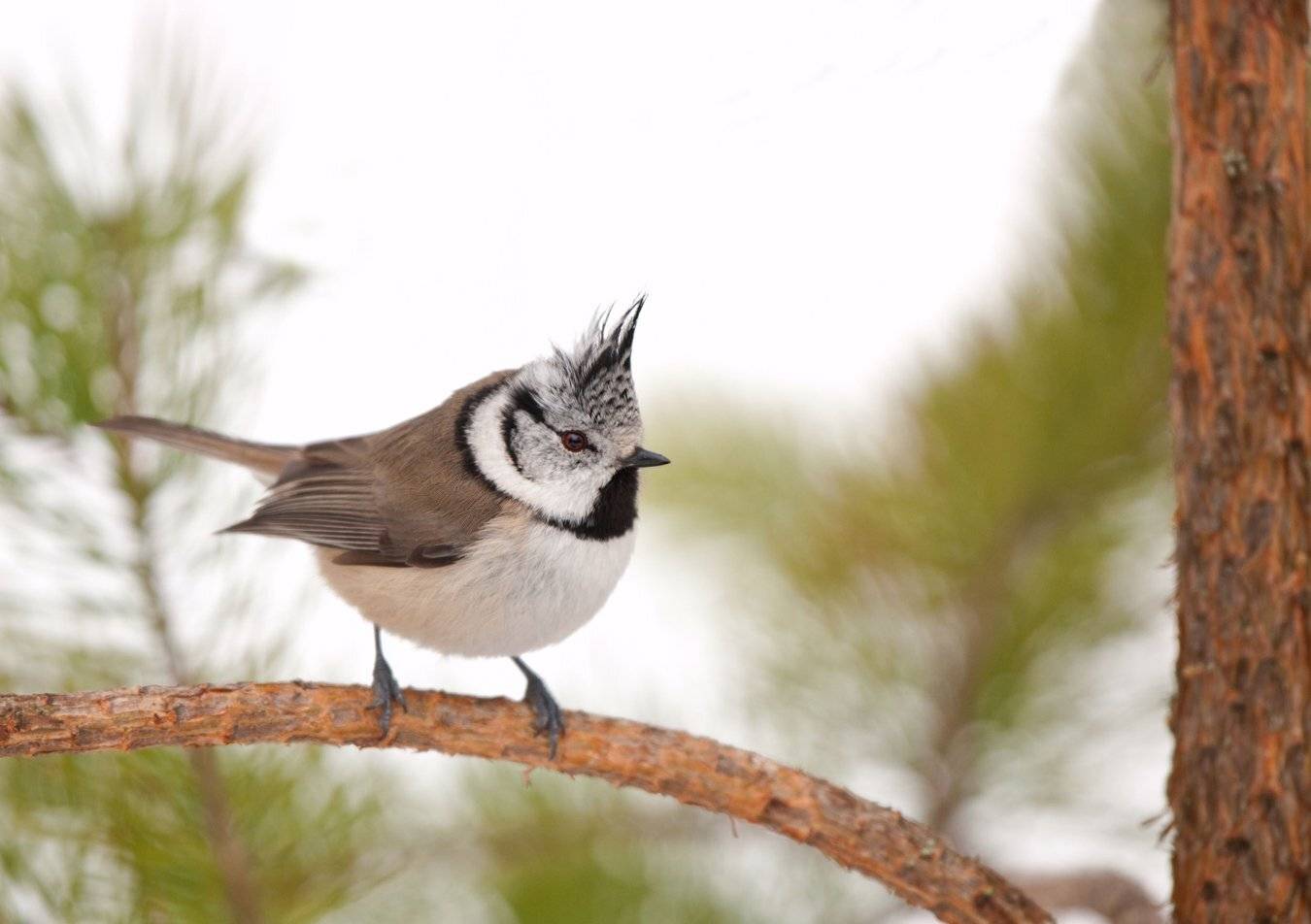 , Юрий Кулаков