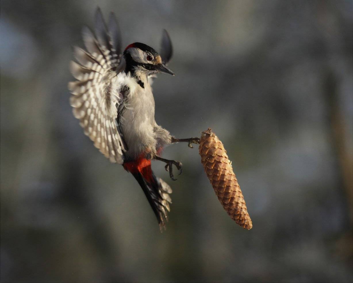 , Юрий Андреев