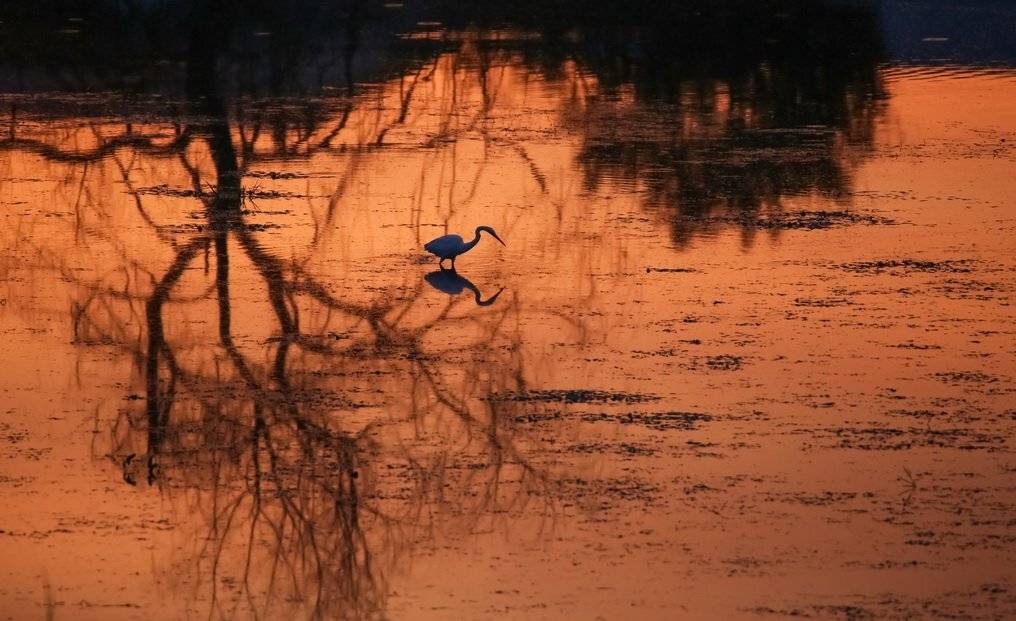 , Вячеслав Мищенко