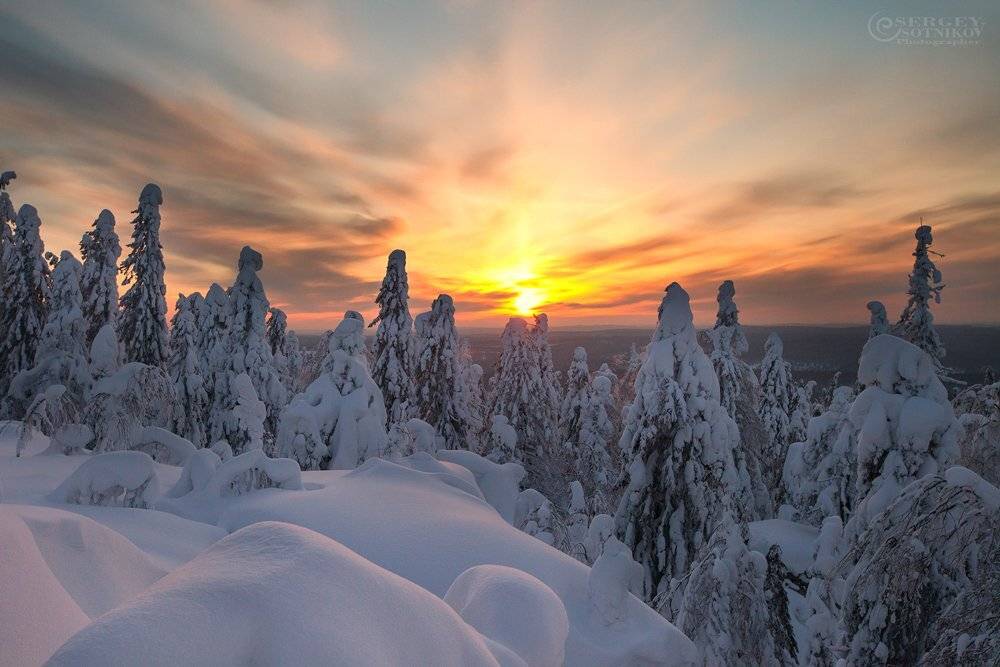 , Сергей Сотников