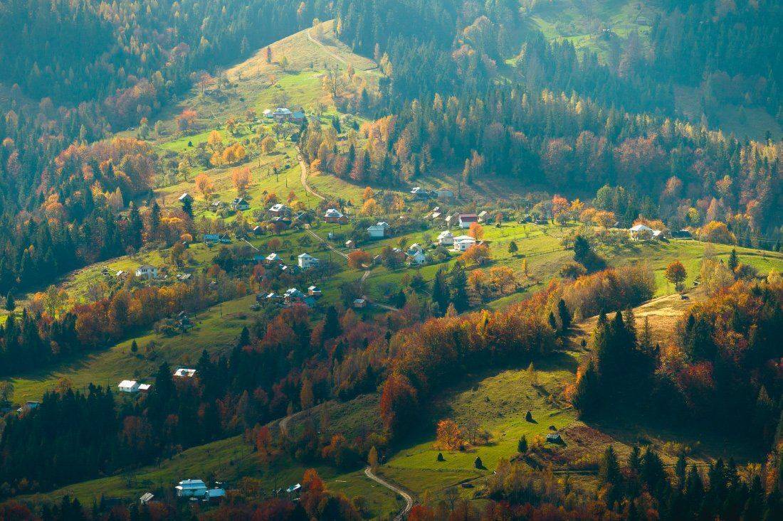 , Ярослав Тюрменко (Jaremi)