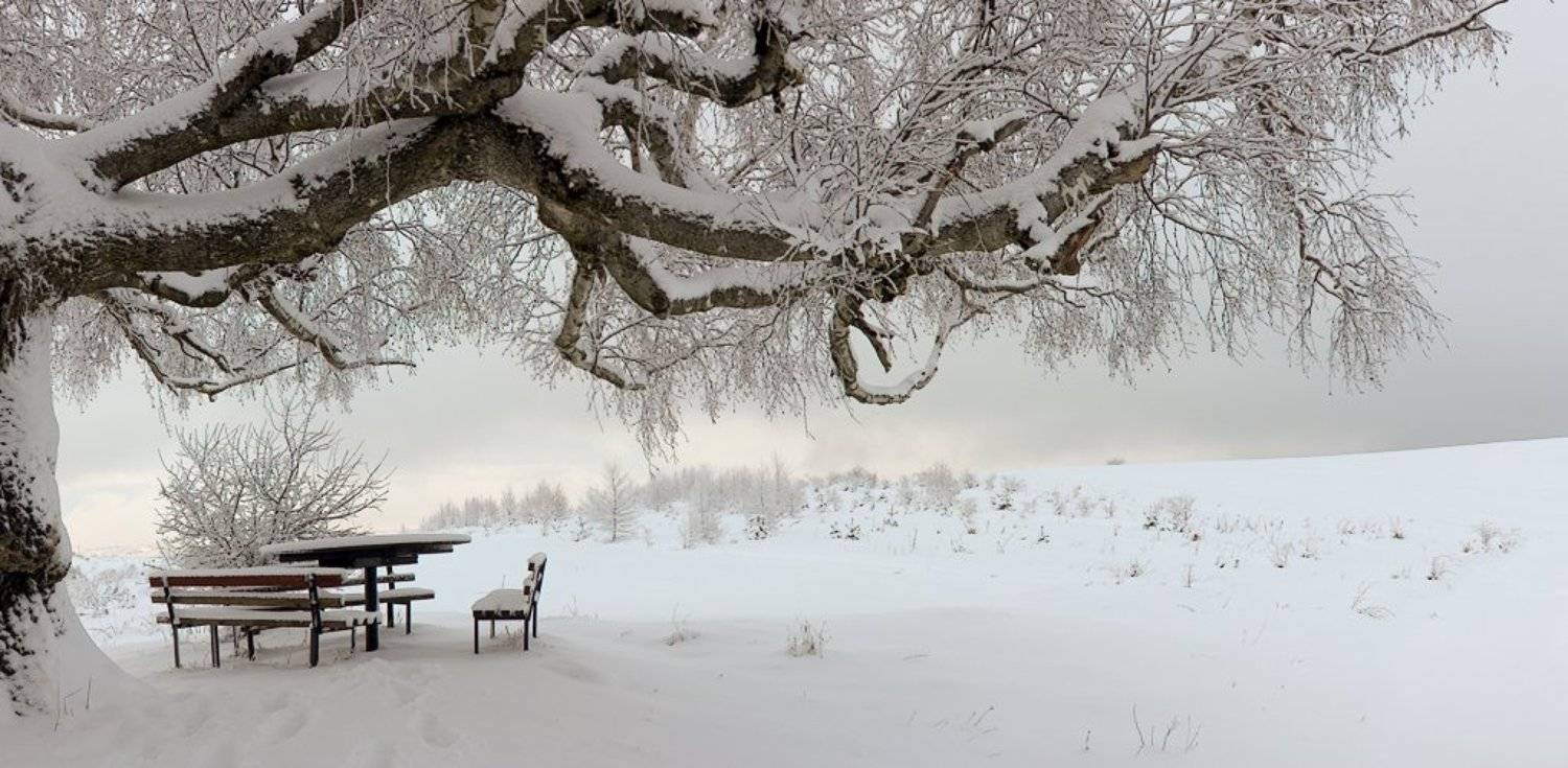 , Ирина Костова