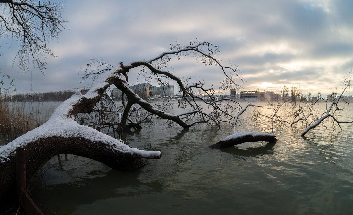 , Alexander Plekhanov