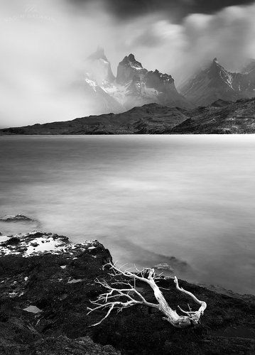 Silent Storm