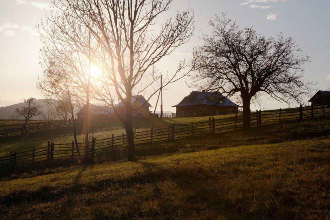 , Ярослав Тюрменко (Jaremi)