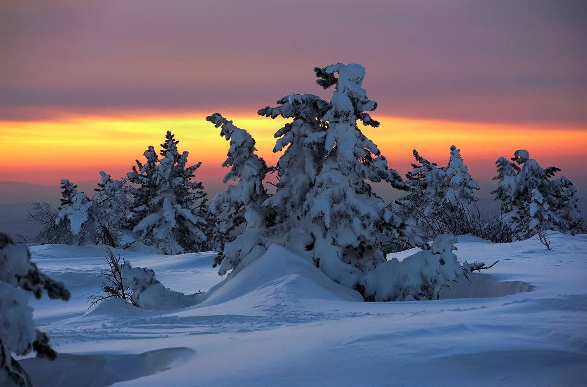 гора курган, горная шория, зима, кедры, красочный вечер, сибирь, снег, шерегеш, Валерий Пешков