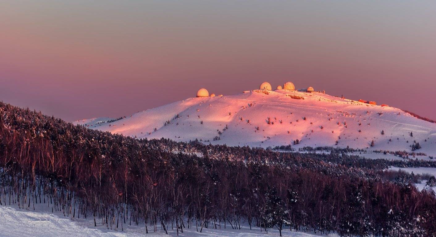 , Игорь Мелекесцев