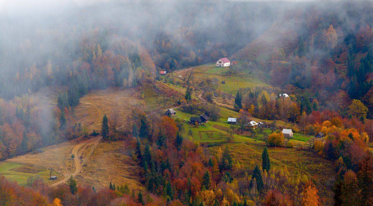 , Ярослав Тюрменко (Jaremi)