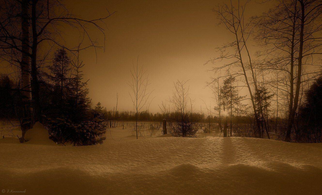 Вечер, Закат, Зима, Лес, Снег, Владимир Комышев