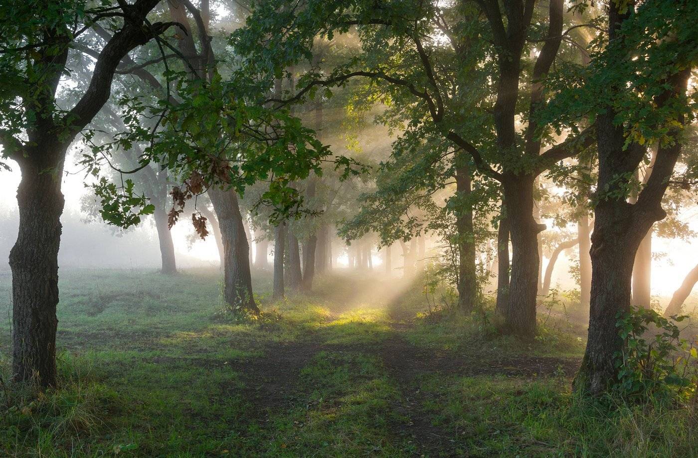 , Руслан Сигушин