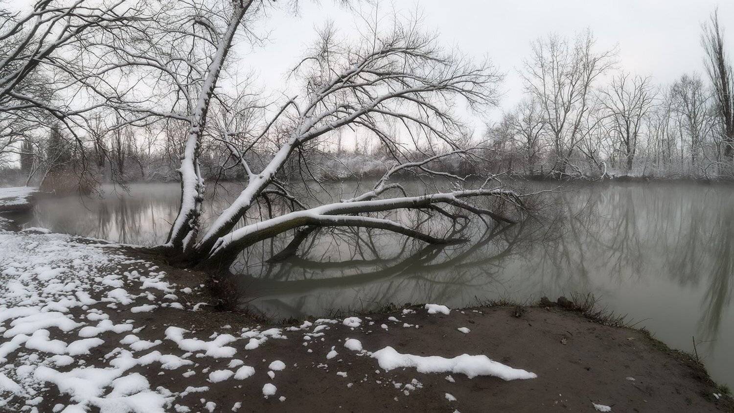 Зима, Краснодар, Солнечный остров, Утро, Февраль, Alexander Plekhanov