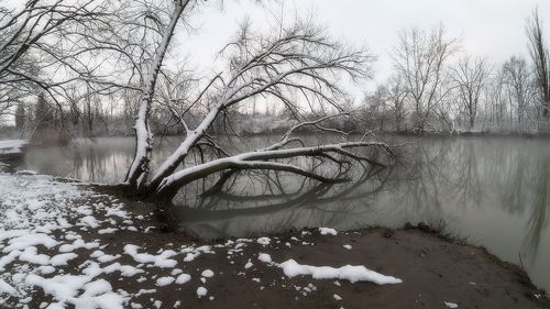 Графика февральского утра