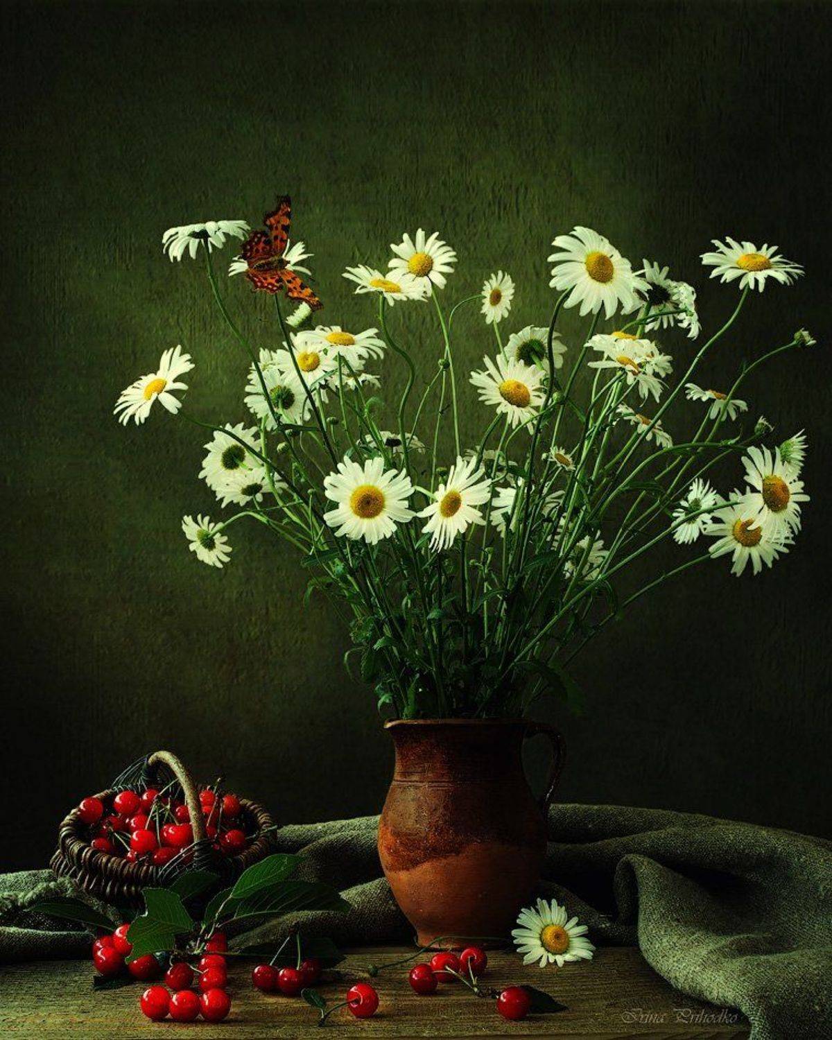 , Ирина Приходько