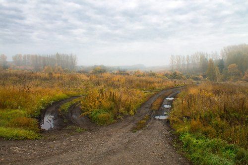 Дороги осени