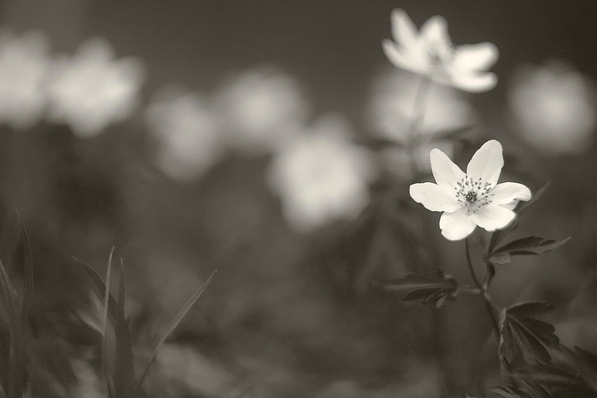 , Сергей Кузнецов