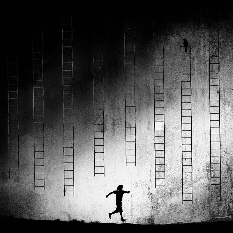 concept, conceptual, fine art, milad safabakhsh, ladder, bird, human, blackandwhite, milad safabakhsh